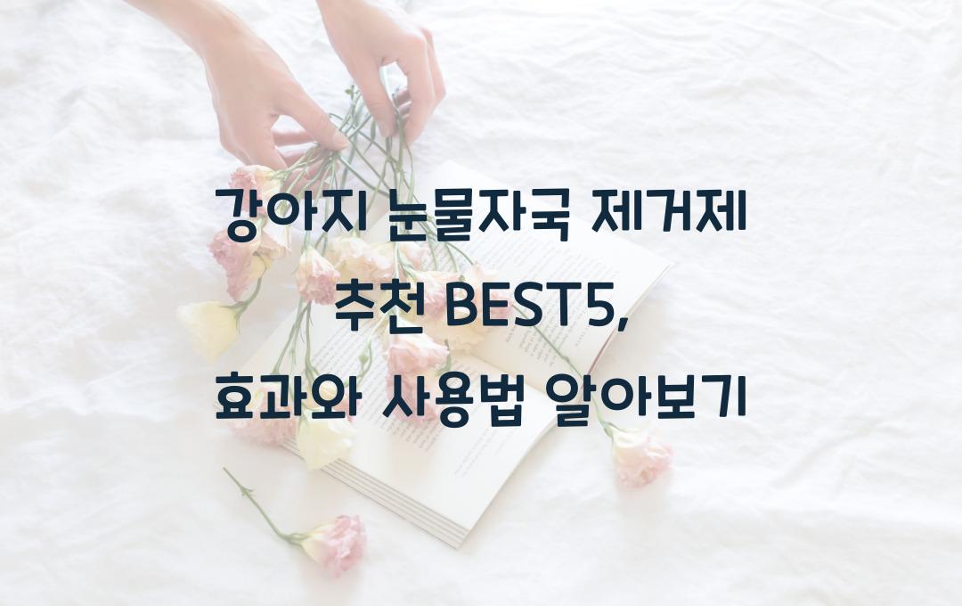강아지 눈물자국 제거제 추천 BEST5
