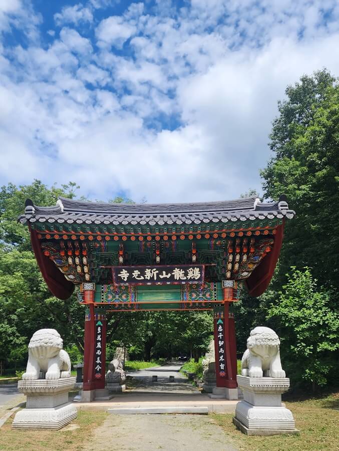 반려견과 함께 떠나는 전국 산행 명소 7선 : 강아지 동반 가능한 등산 코스 총정리