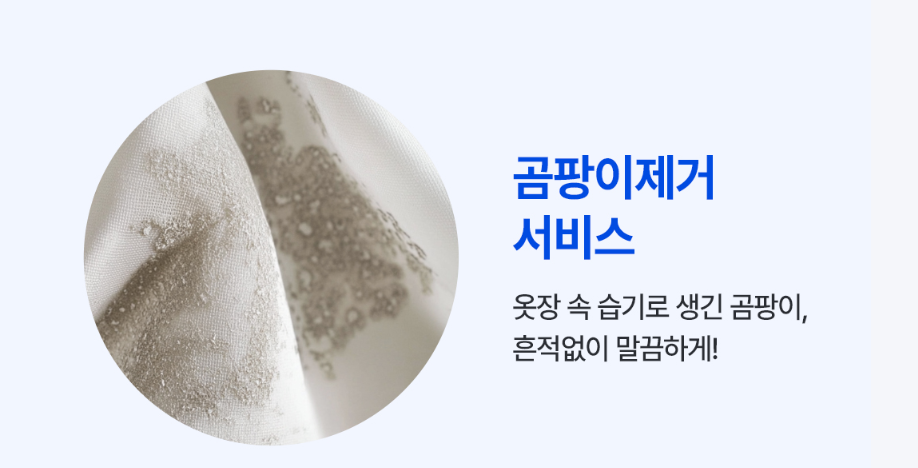 크린토피아 세탁가격
