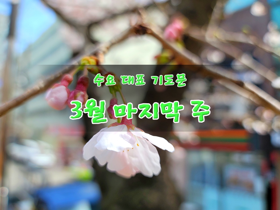 수요 예배 대표 기도문 3월 마지막 주