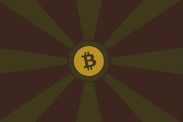 스테이블 코인이란