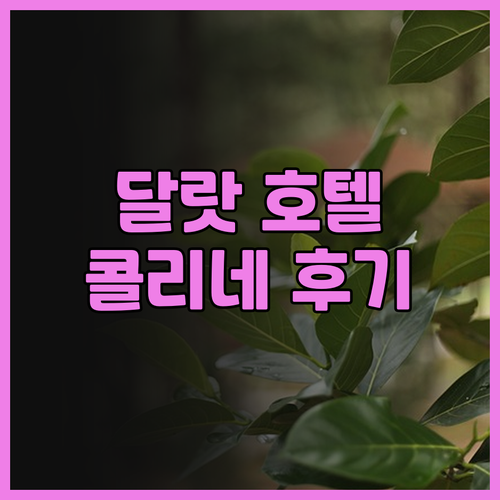 달랏 여행 필수 숙소, 콜리네 호텔!