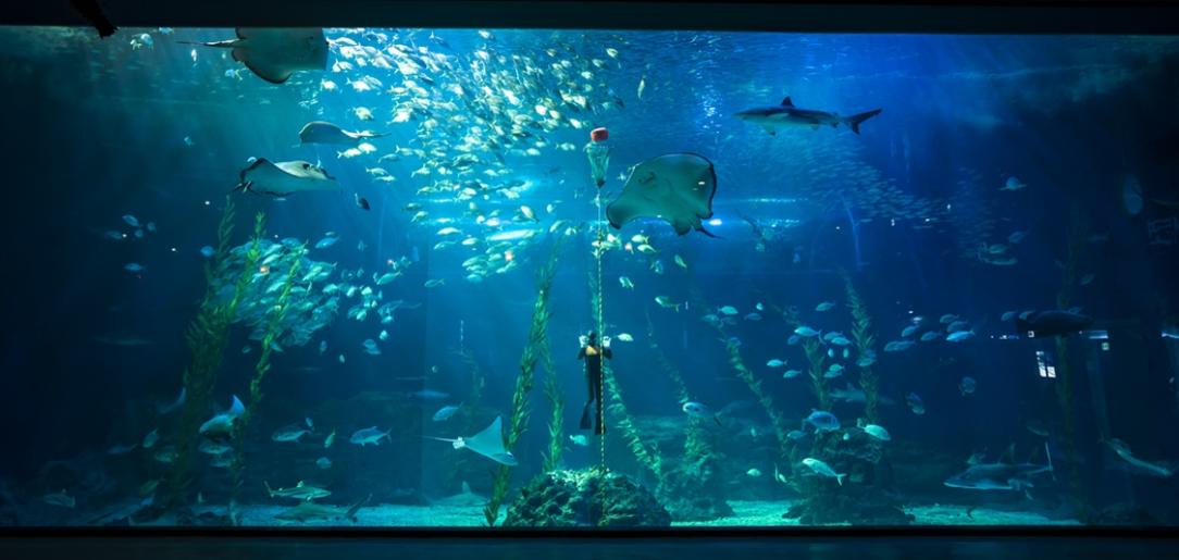 아쿠아플라넷 제주