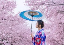 오사카-벚꽃-개화시기-5