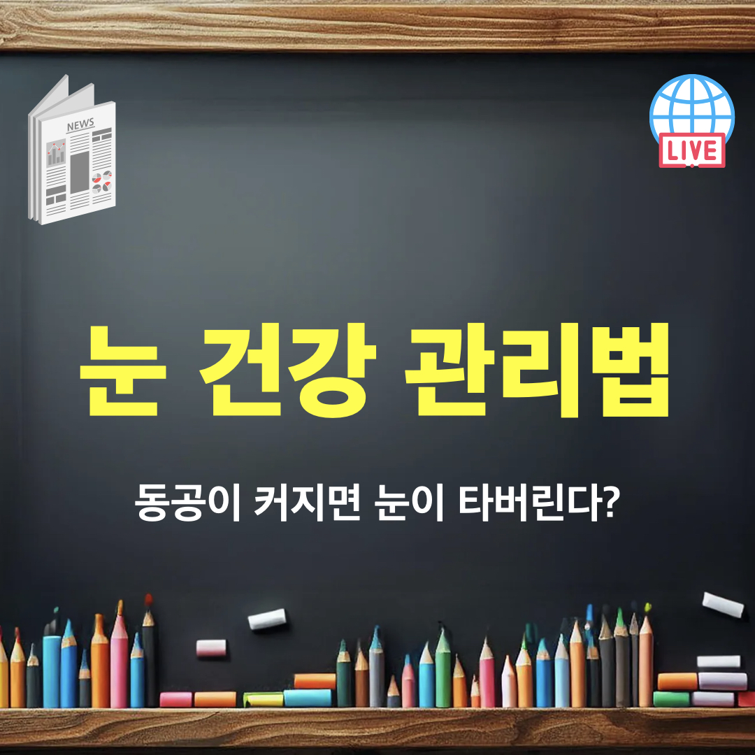 눈건강관리법