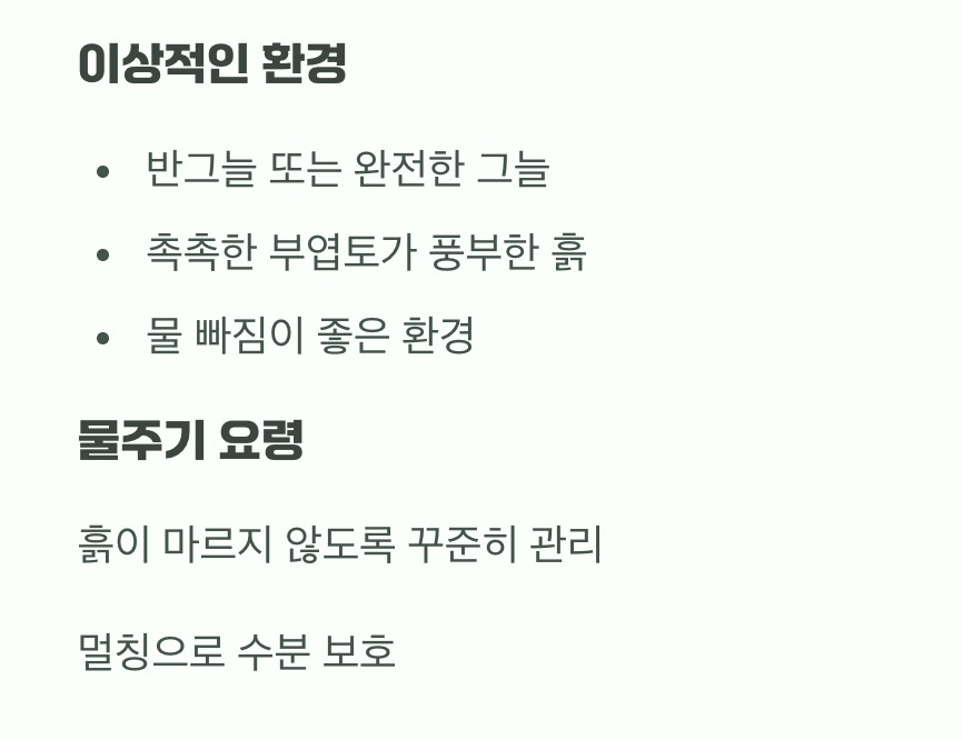 햇살보다 그늘&amp;#44; 물을 사랑하는 아이