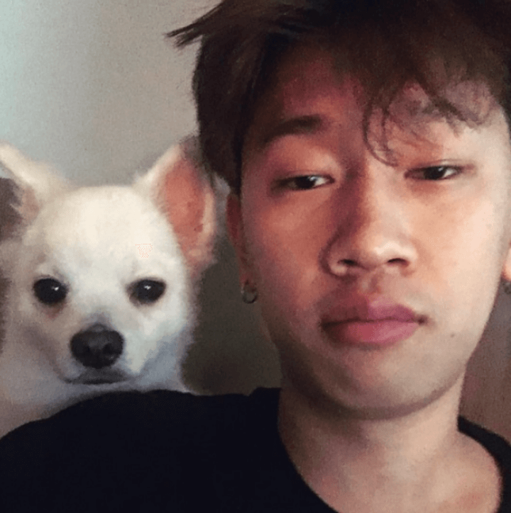 크러쉬-반려견-두유-강아지