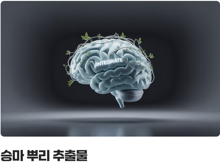 칡이나 석류와는 다른 특별한 이유