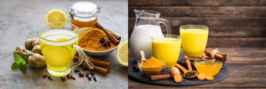 강황(울금)의 효능