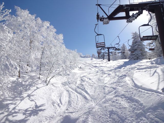 도쿄 근교 스키장