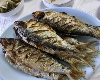 서천 홍원항 자연산 전어 꽃게 축제_15