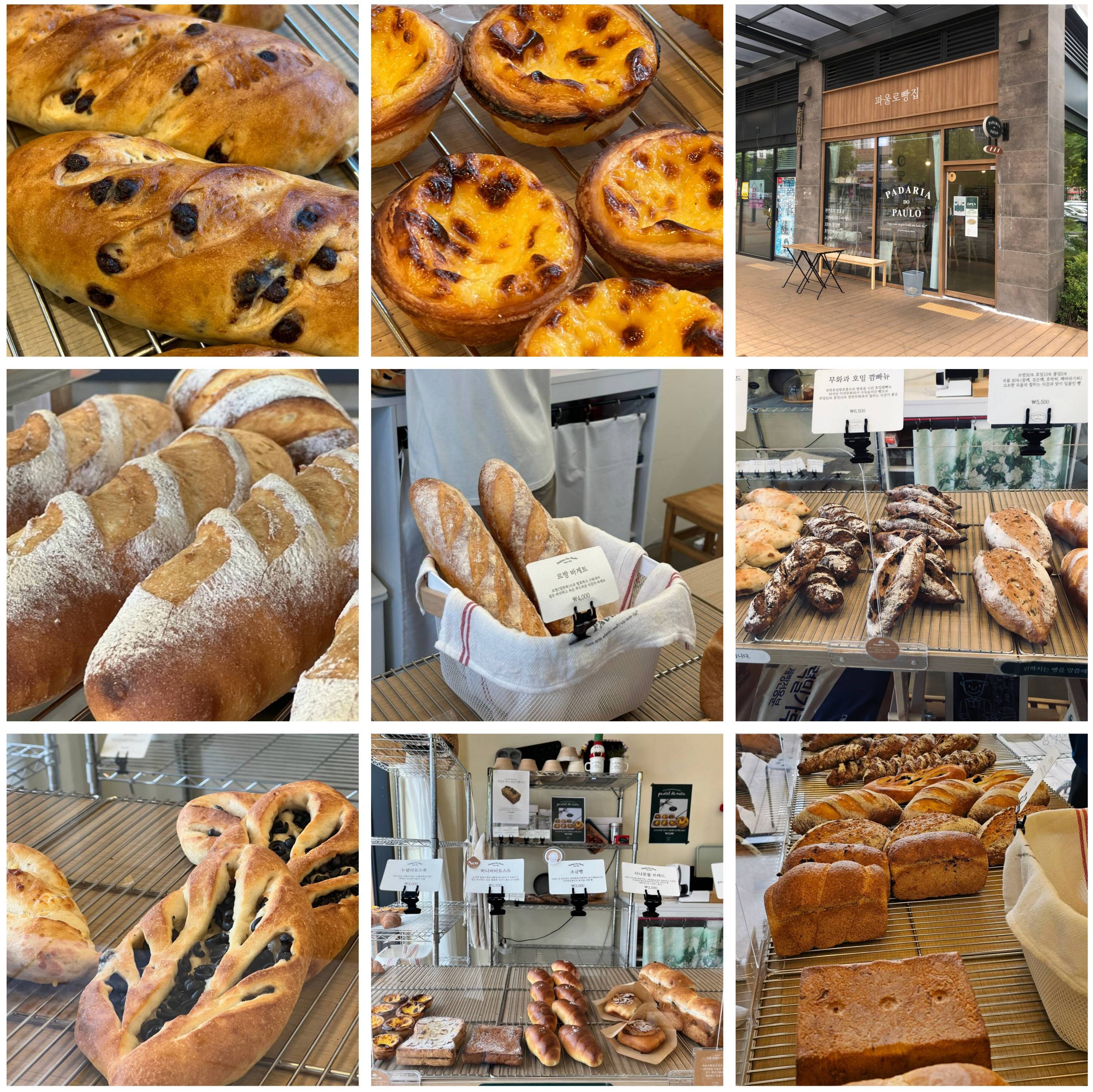 파울로빵집