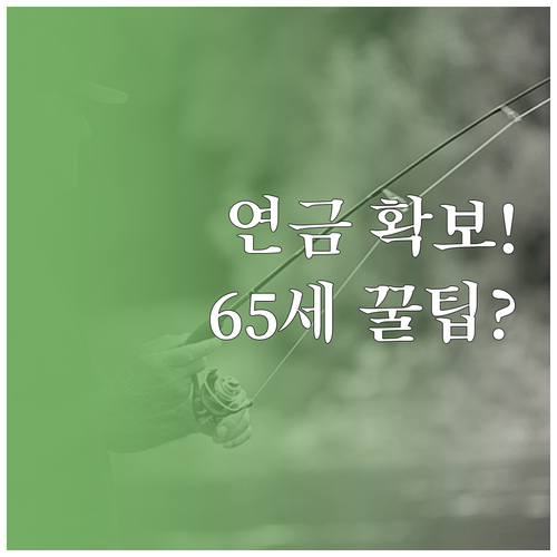 노령연금 수급권 임의계속가입으로 확보..