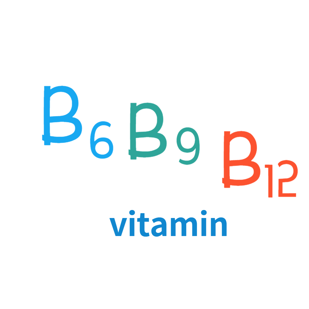 치매-호모시스테인-비타민B