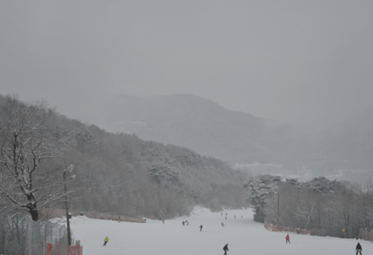 스키장 개장일정