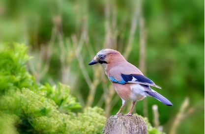 정부지원 대출 종류와 신청 방법 완전정복