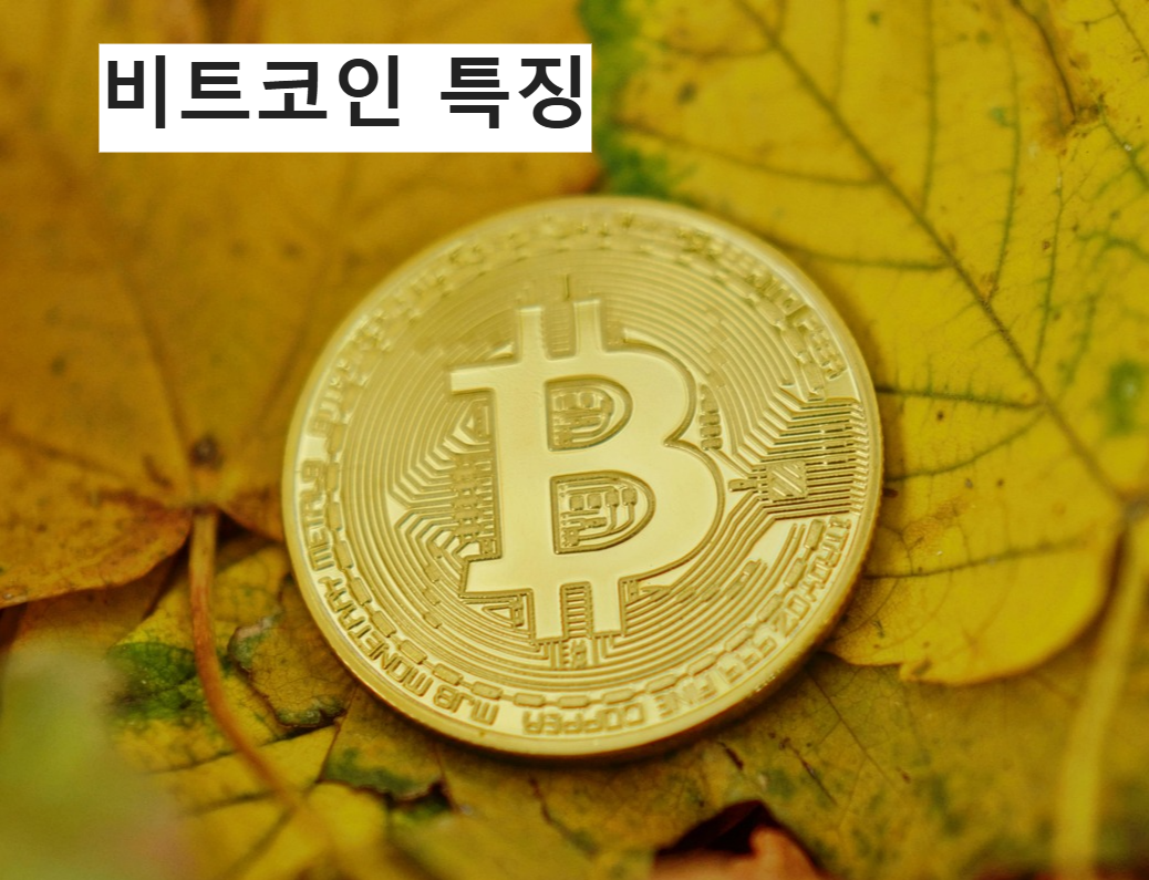 비트코인 특징