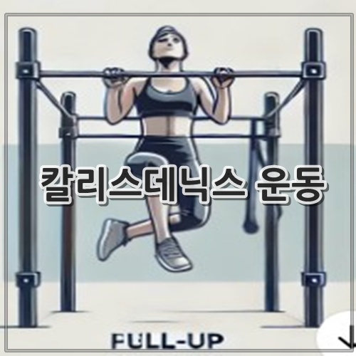 칼리스데닉스 운동