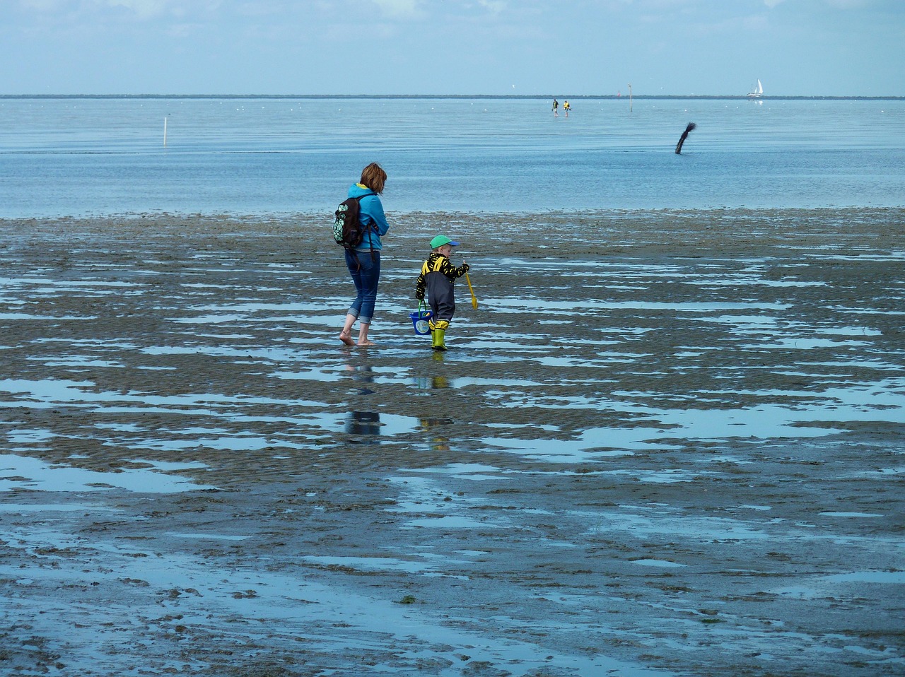 갯벌에서 조개 잡기