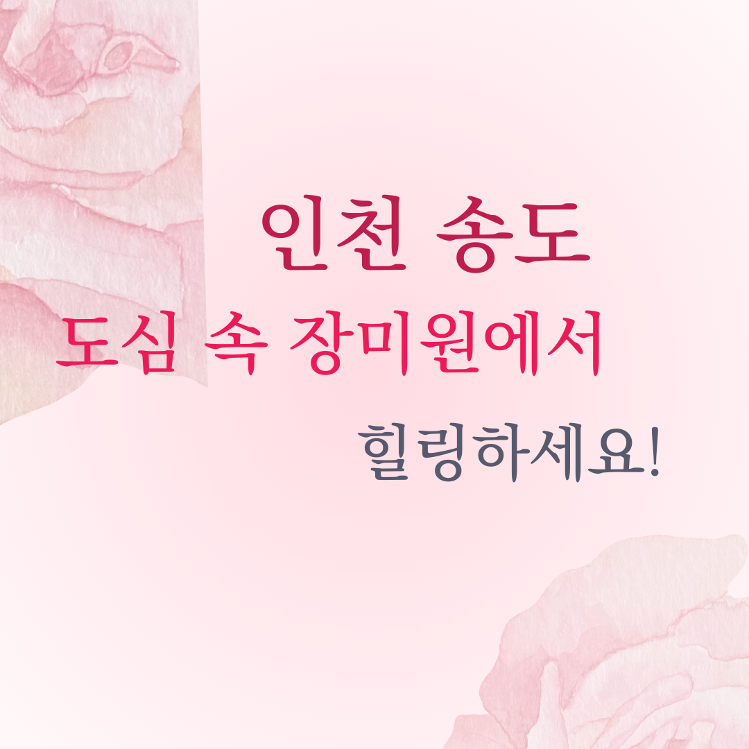 해돋이 명소