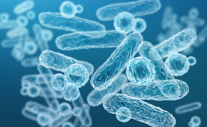 변비에 좋은 음식