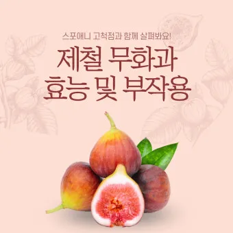 무화과 효능 칼로리 먹는 방법 수확시기 보관법_23
