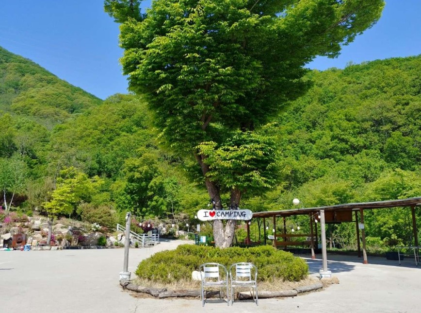 캠핑장 할로윈 이벤트