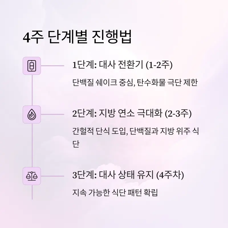 스위치온 다이어트 4주 단계별 진행법을 요약한 인포그래픽 – 대사 전환, 지방 연소, 대사 유지로 구성