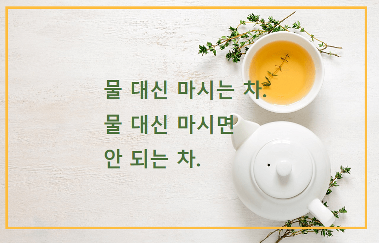 물 대신 마시는 차. 물 대신 마시면 안 되는 차.