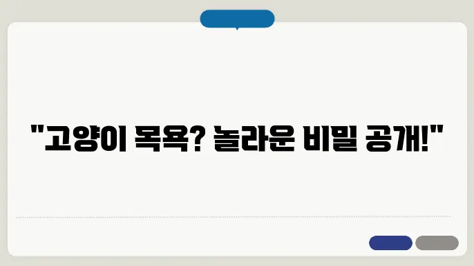 고양이 목욕 필수인은? 집에서 간편하의 최대