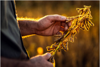 농어민수당 신청