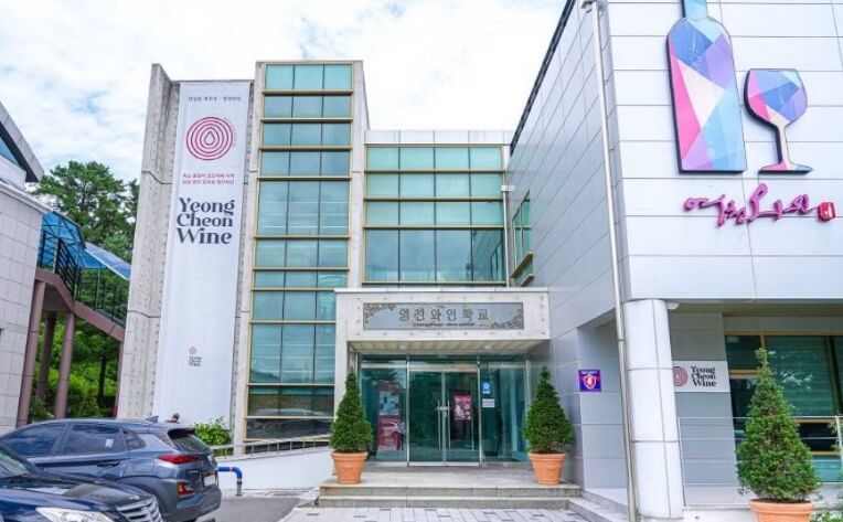 영천 가볼만한곳 베스트 10