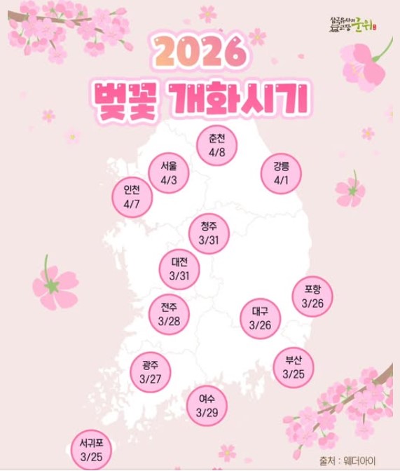 벚꽃개화시기