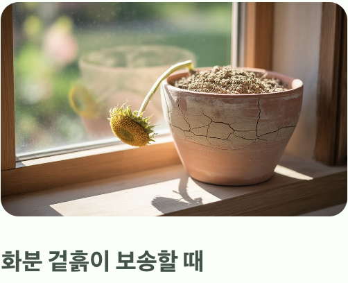 물주기의 딜레마, '과습'을 피하는 기술