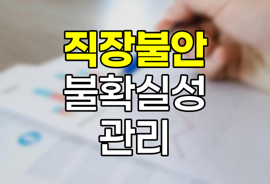 직장 불안과 불확실성 관리, 보험의 역할