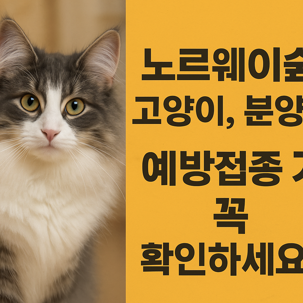 노르웨이숲 고양이