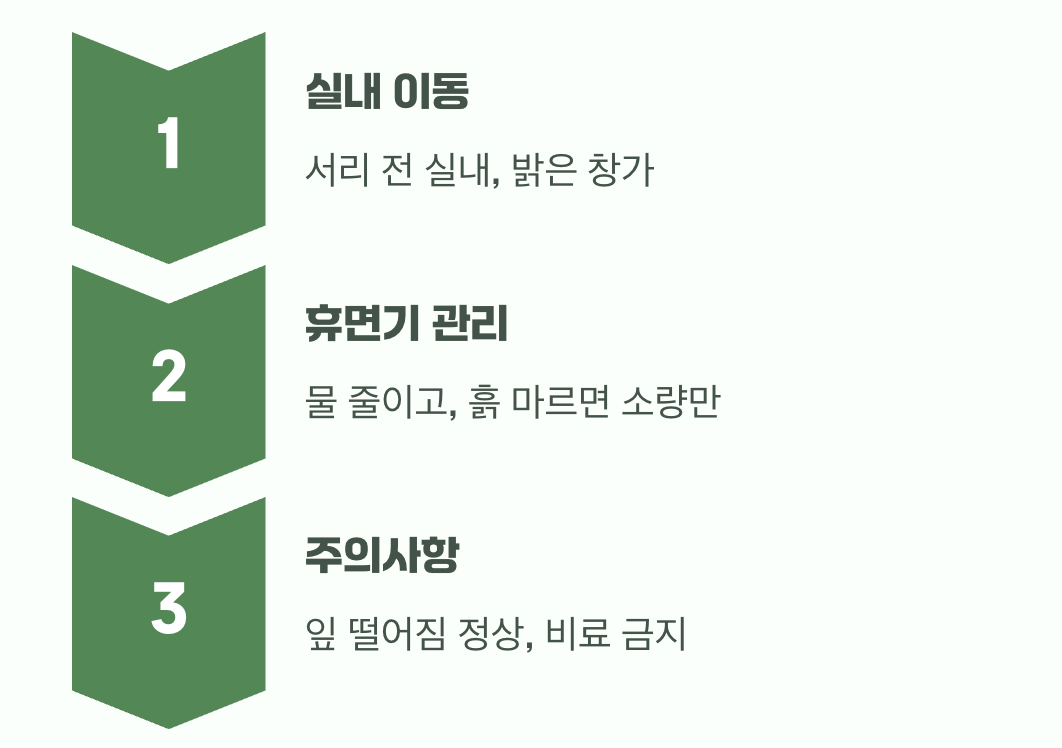 가장 큰 숙제, 똑똑한 겨울나기