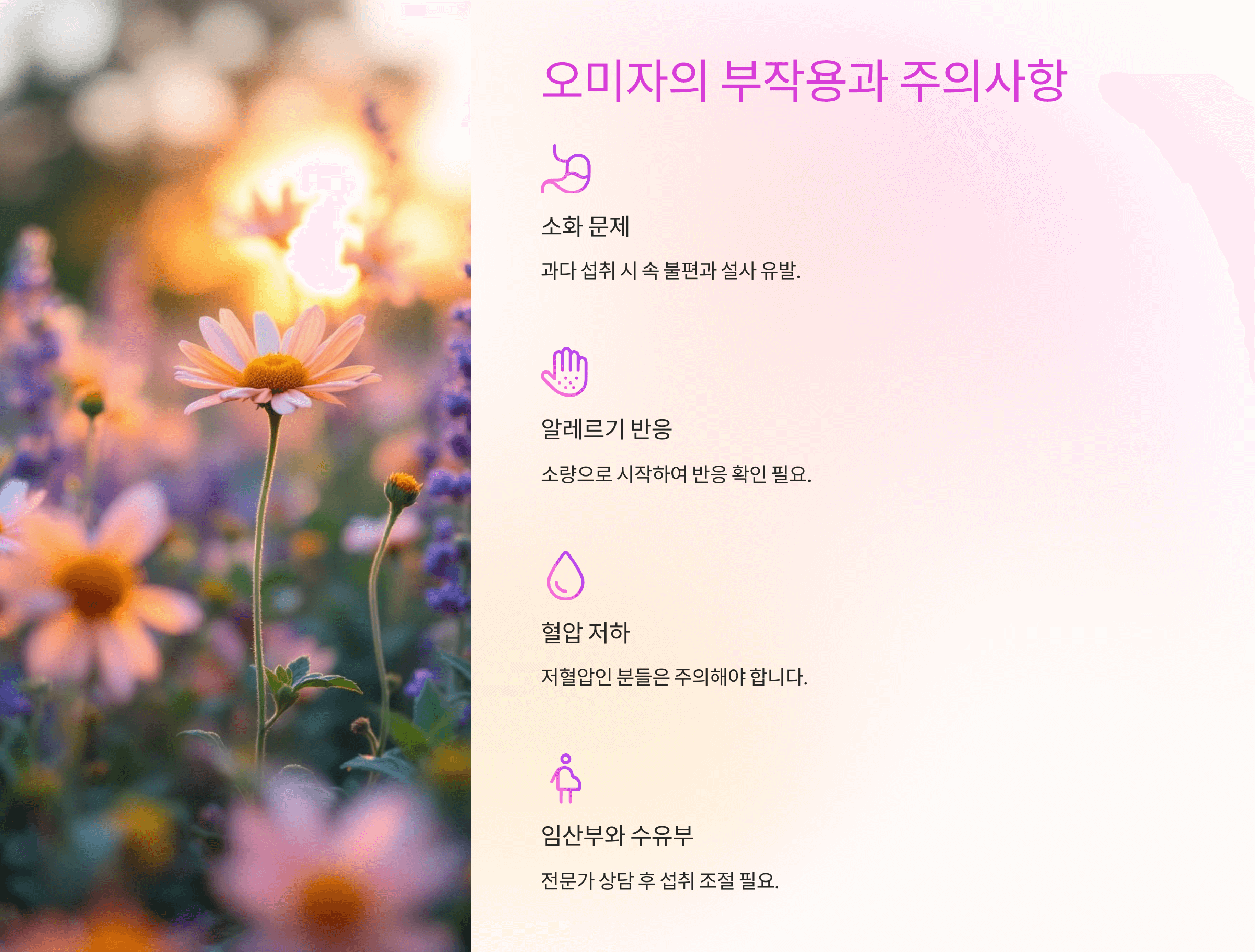 오미자 효능과 관련된 사진입니다.