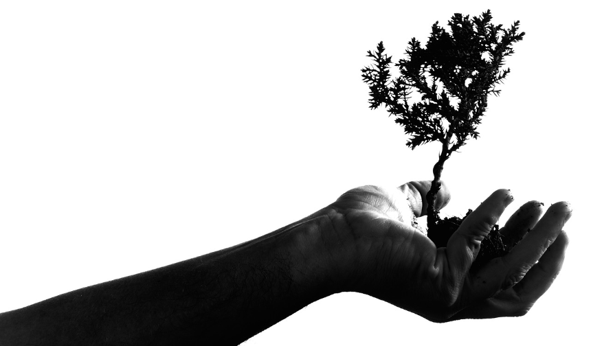 크게 되려면 성장이 필요하다.