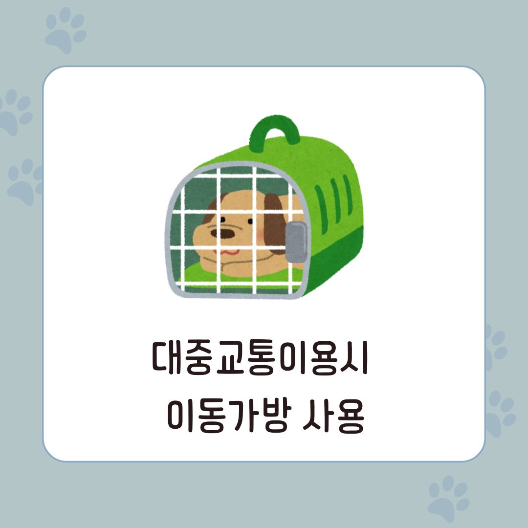 반려동물과/여행하기/대중교통별/이용방법