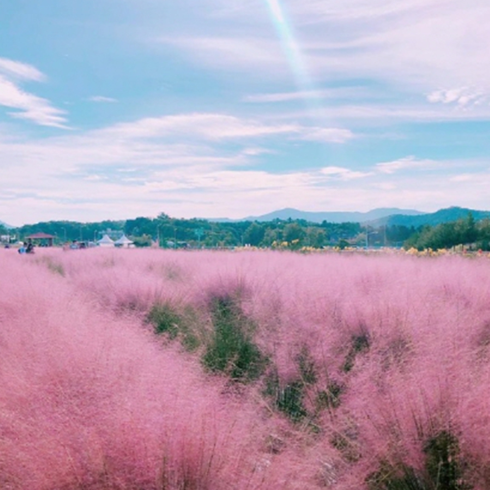 양주 나리공원