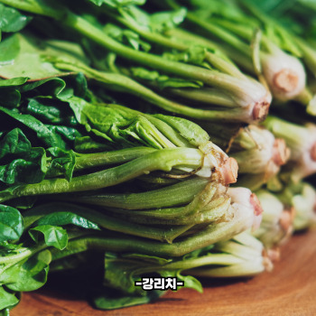 엽산이 많은 음식