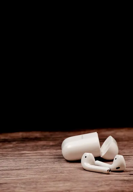 에어팟 케이스 분실 시 찾는 방법 및 대체 구매 요령 정리_6