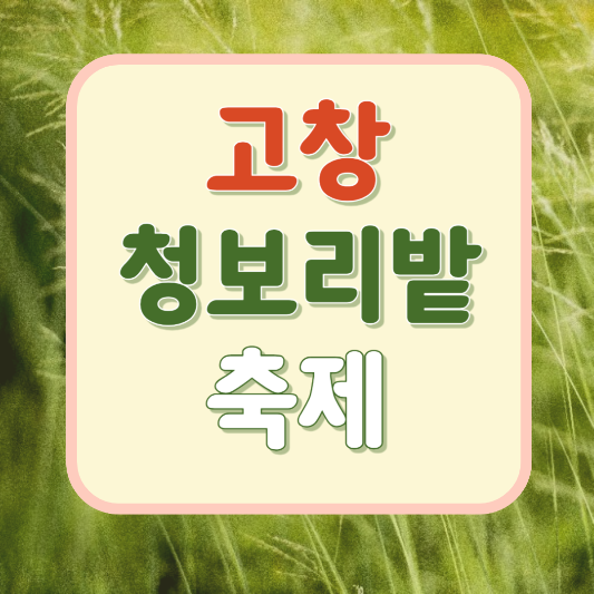 고창 청보리밭 축제 삽화