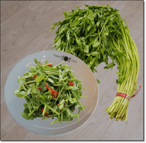 미나리와 생채 무침