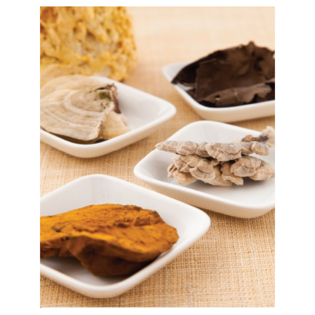 경옥고와 관련된 사진입니다.