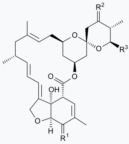심장사상충약 밀베마이신 구조
