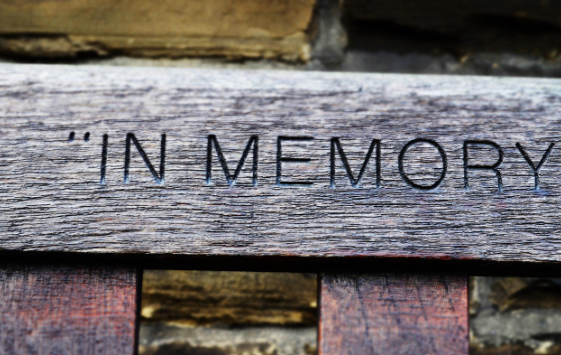 아무것도 하지 않은 날이 오래 기억에 남는 이유