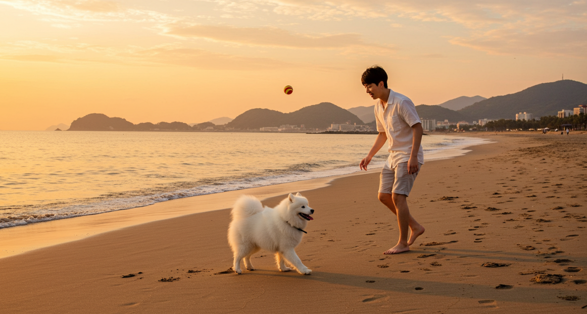 강아지와 함께하는 행복한 일상 꿀팁