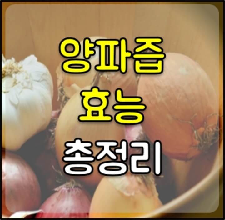 양파즙 효능 썸네일